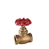 Brass Globe Valve (Red Hollow - out Handwheel, Textured Body)